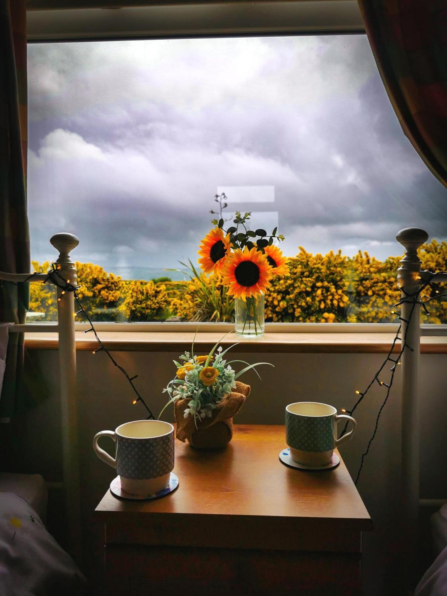 Causeway Coast Country Cottage, Pet-Friendly Ballycastle Εξωτερικό φωτογραφία