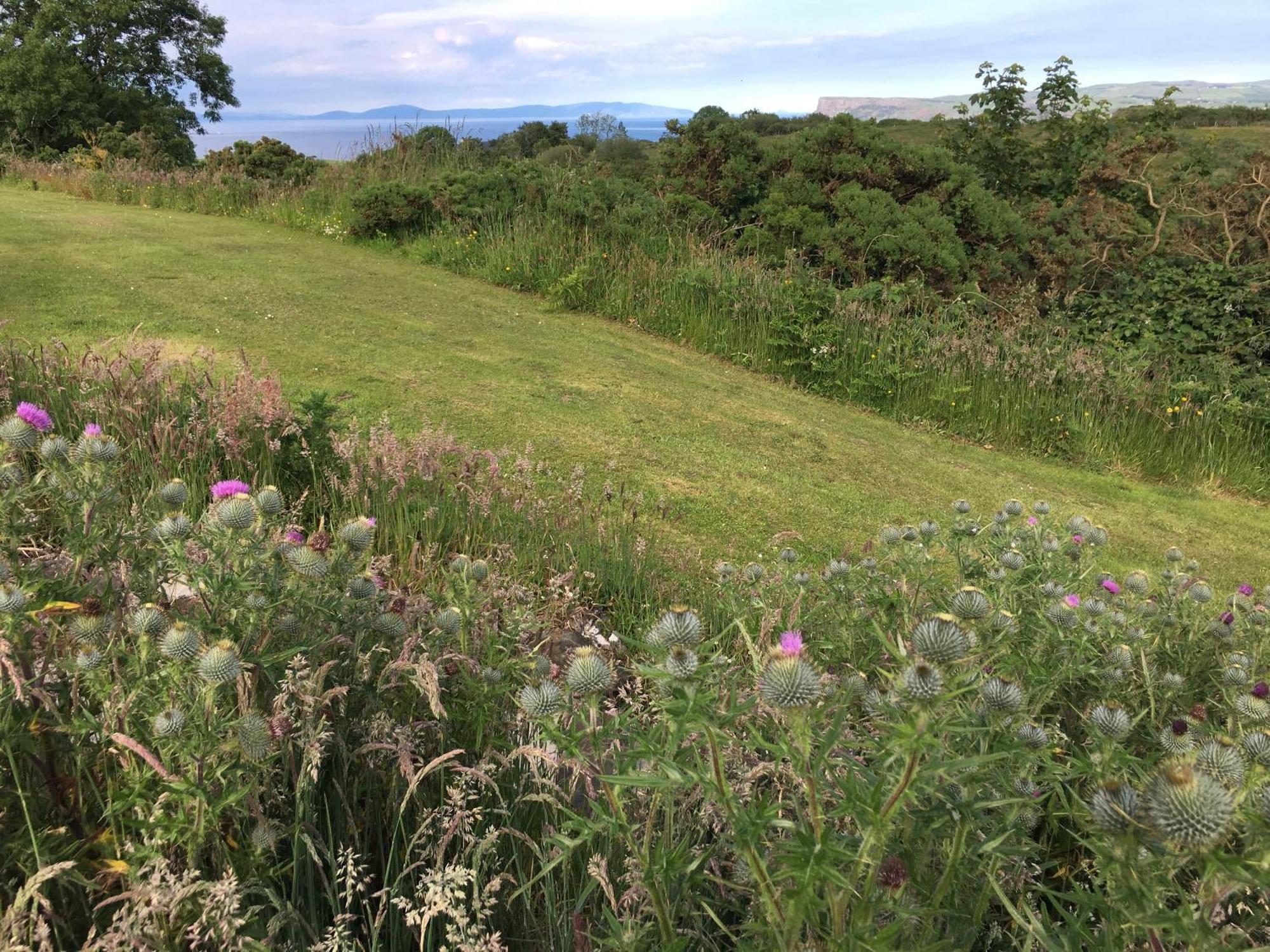 Causeway Coast Country Cottage, Pet-Friendly Ballycastle Εξωτερικό φωτογραφία